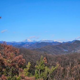 日光ファミリー出てきた～
