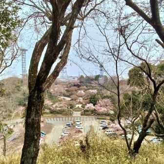 ここに登ってくるだけでゼーゼーと息切れした。
1か月間登山を休んだがわけだけど、体力ってそんなにすぐに下がるんだな💦