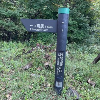 登山口を左へ⬅️