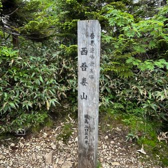 西吾妻山山頂。狭くて眺望なし。