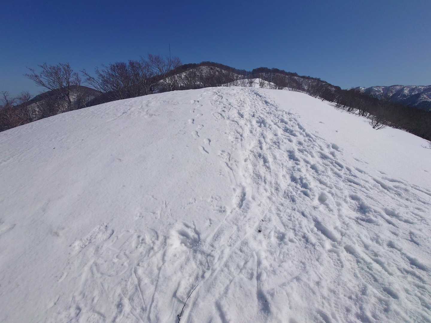 頂上へ🎶