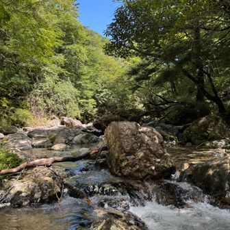 標高が高いから、沢遊びは、真夏だけですね‼️