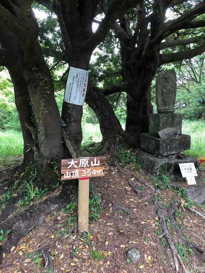大原山の写真