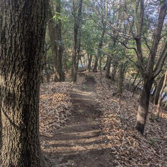 ロードが出来ました✨