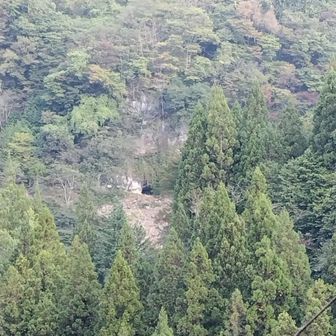 渓谷の向こうには
縄文人の竪穴式住居跡がある🔱