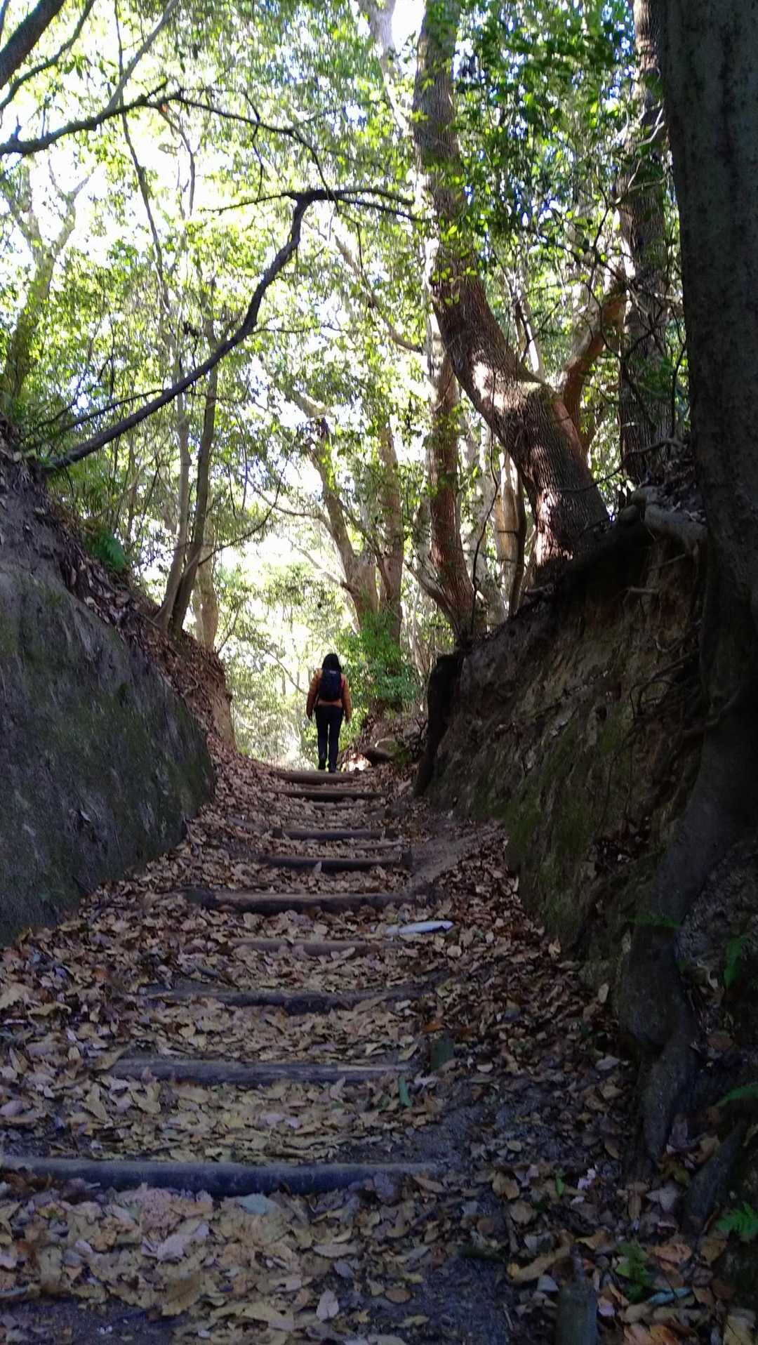 鵯越駅-菊水山 往復コースの写真
