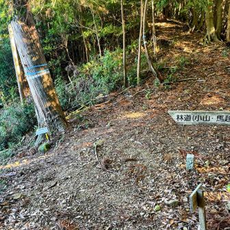猪鼻水平道手前の水地峠から馬越林道へ
おちょぼ岩からの登山道、尾鷲薮刈隊の皆様整備ありがとうございます