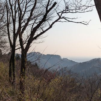 ゴマさん🫡
夕陽の眺めはやっぱりあっちが良いね😅