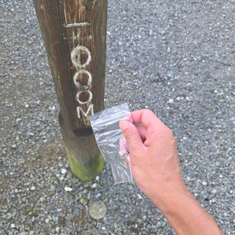 あら？減っとる！
と言うか無いやん🤣
残り1滴垂らす(笑)
環境にはヨシ