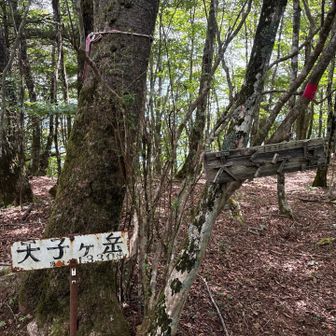 天子ケ岳山頂は展望無し。
少し先に富士見台あるも富士は雲の中。