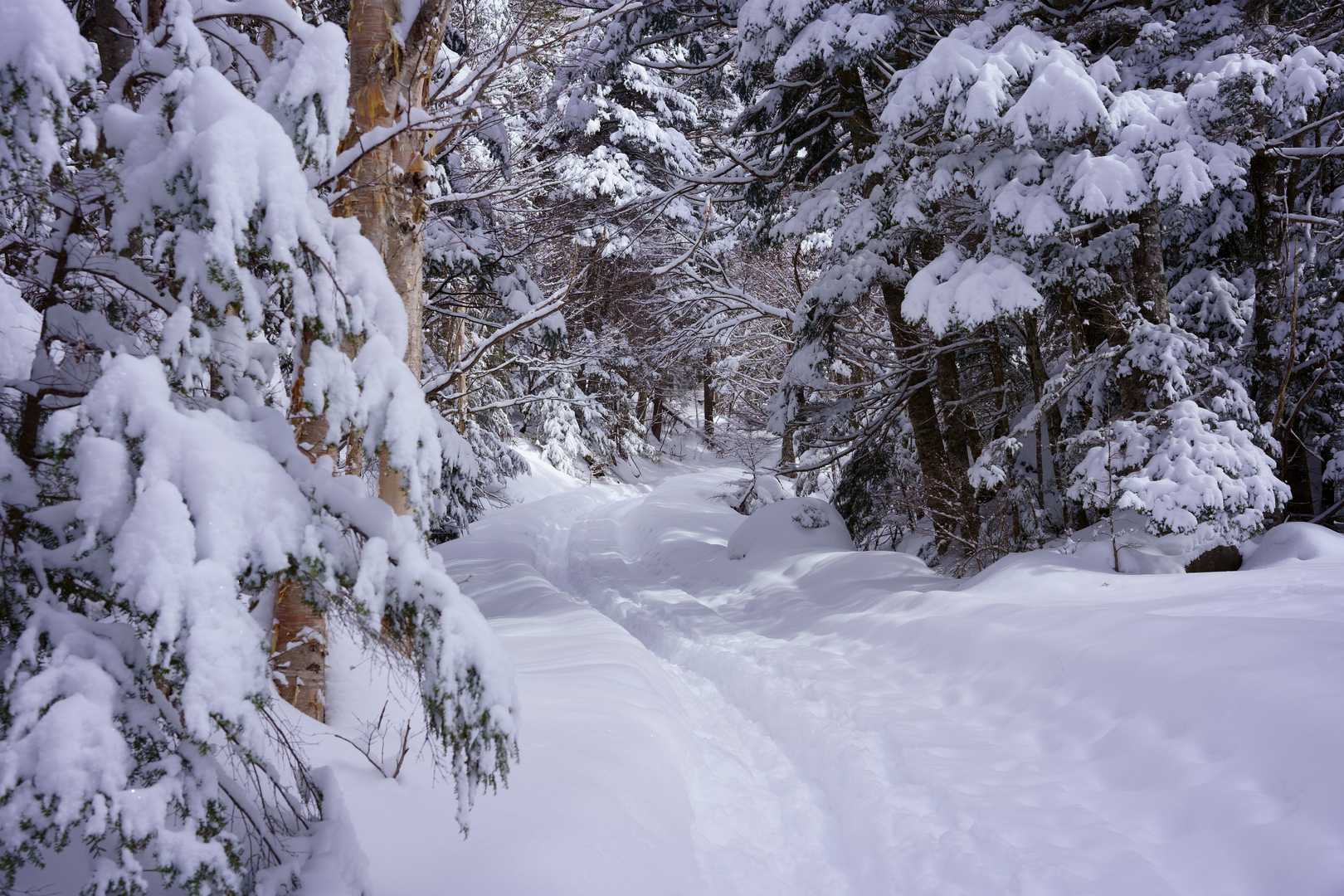 一歩一歩が重い