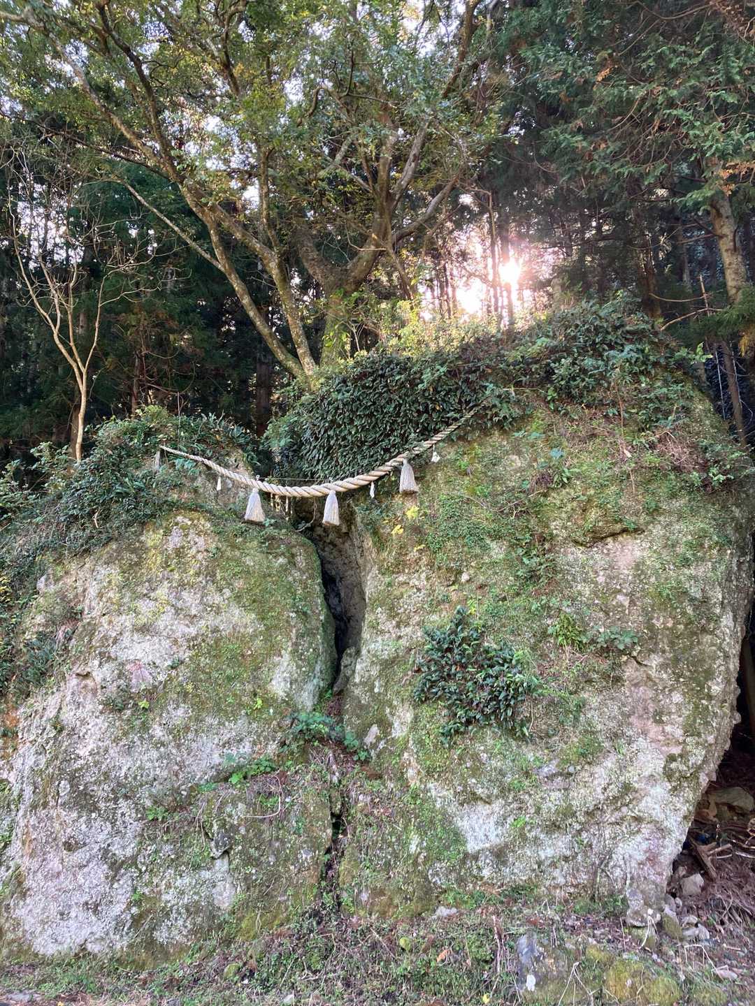 道沿いに見つけた、兄弟割石🪨