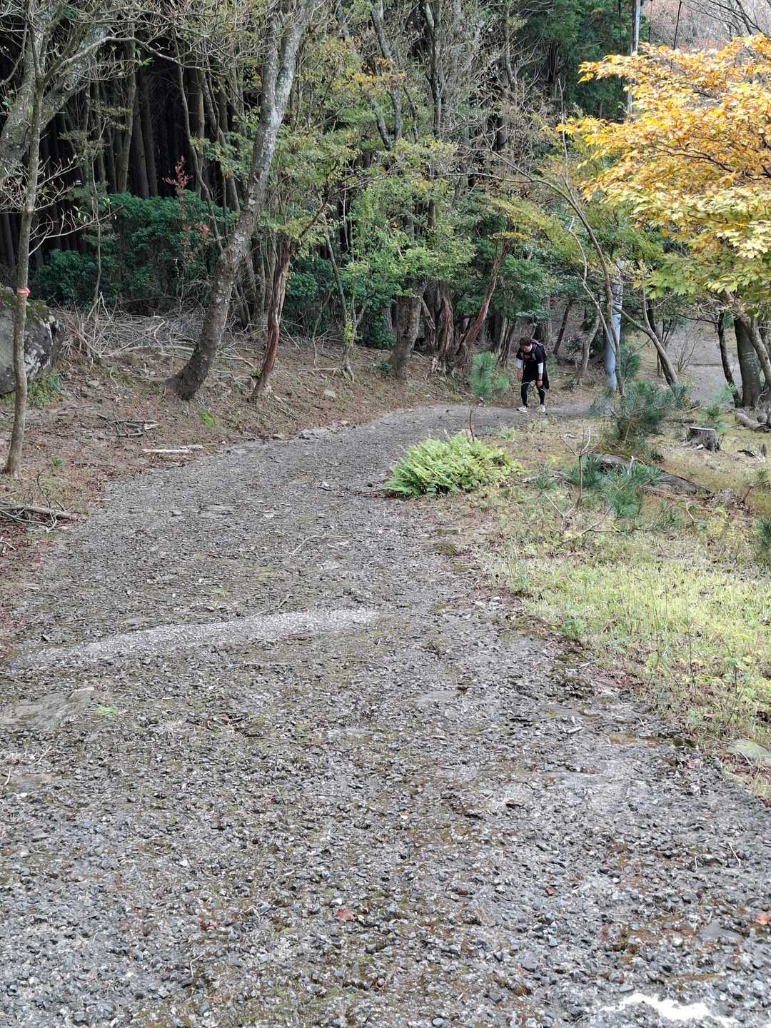 山頂手前の坂
馬の背🐴