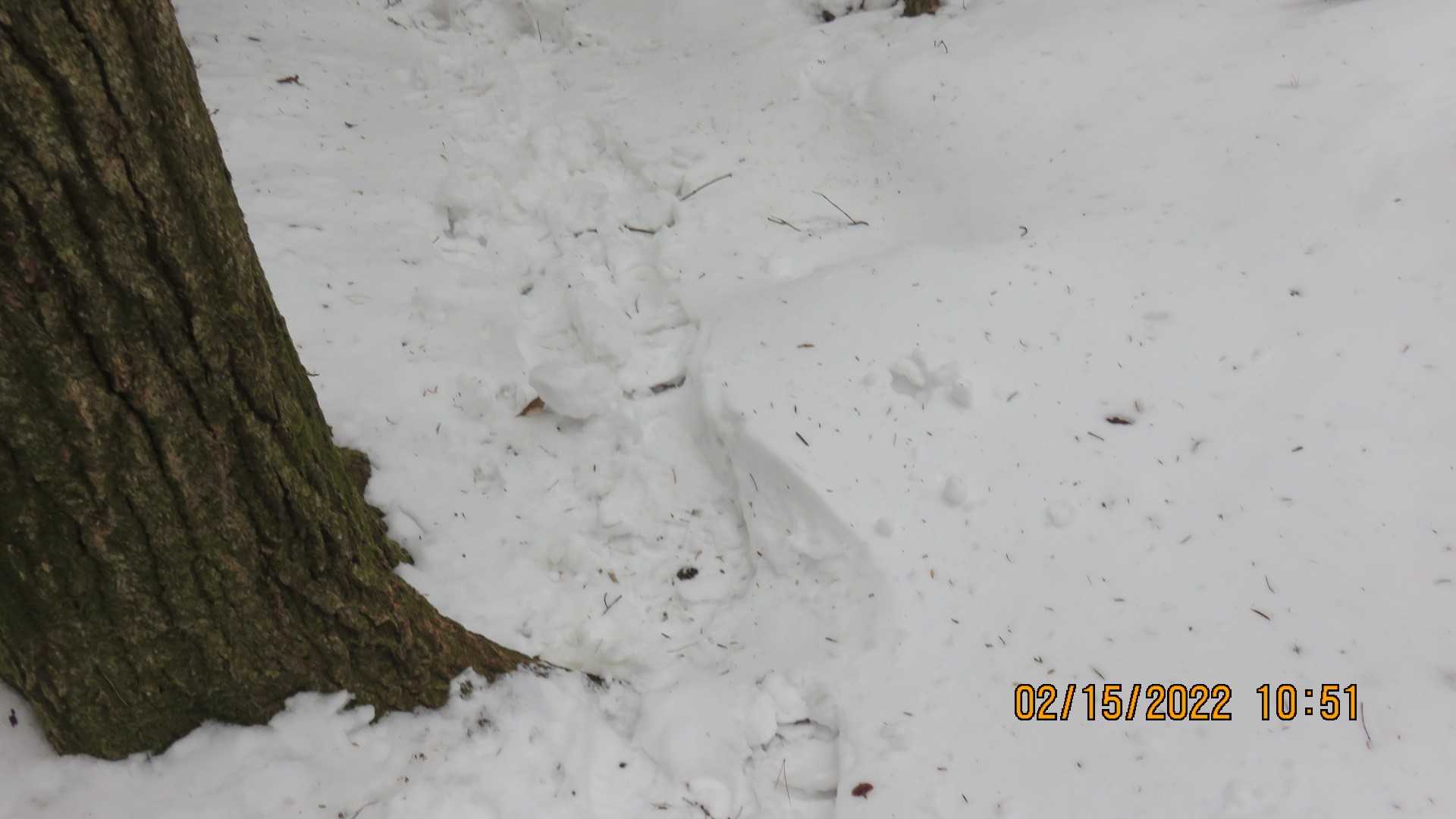だんだん雪深い😨