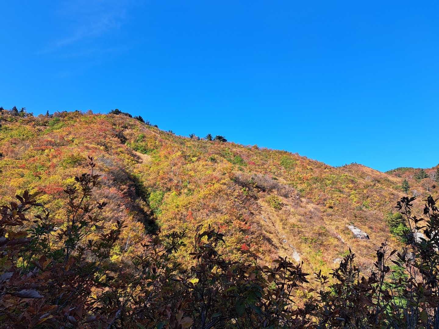 三方岩岳往復 | ホワイトロード最高地点から50分、北アルプス〜白山を望む岩の頂の写真