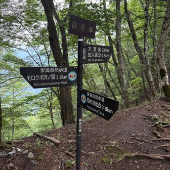 ようやく峠
下山します