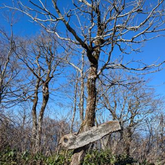 チェーンアイゼンつけて