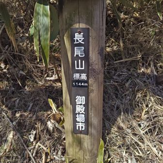 長尾山