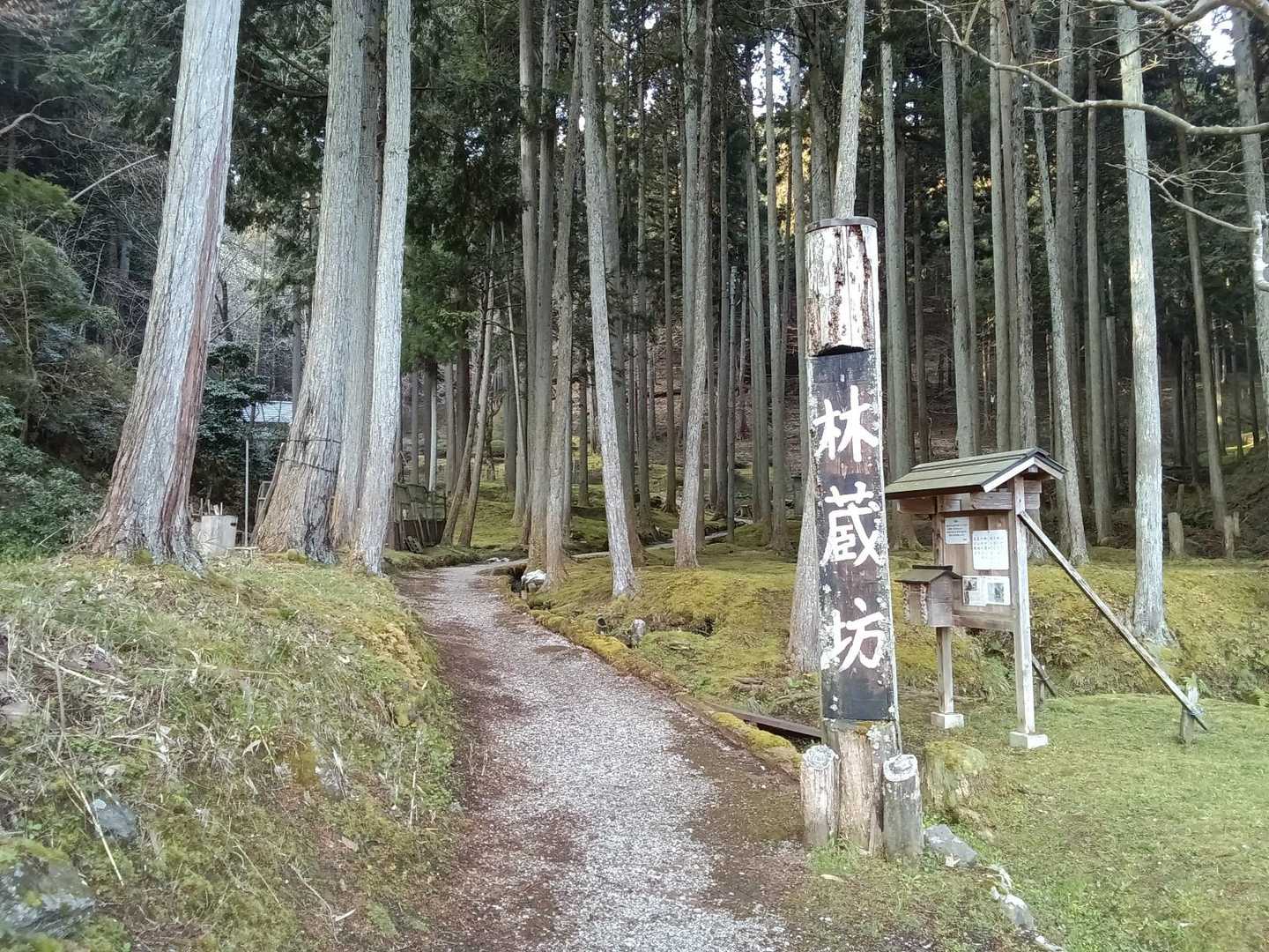 20分ほどで到着
拝観料は不要ですが、環境保護のため少しですが、協力しました💰️