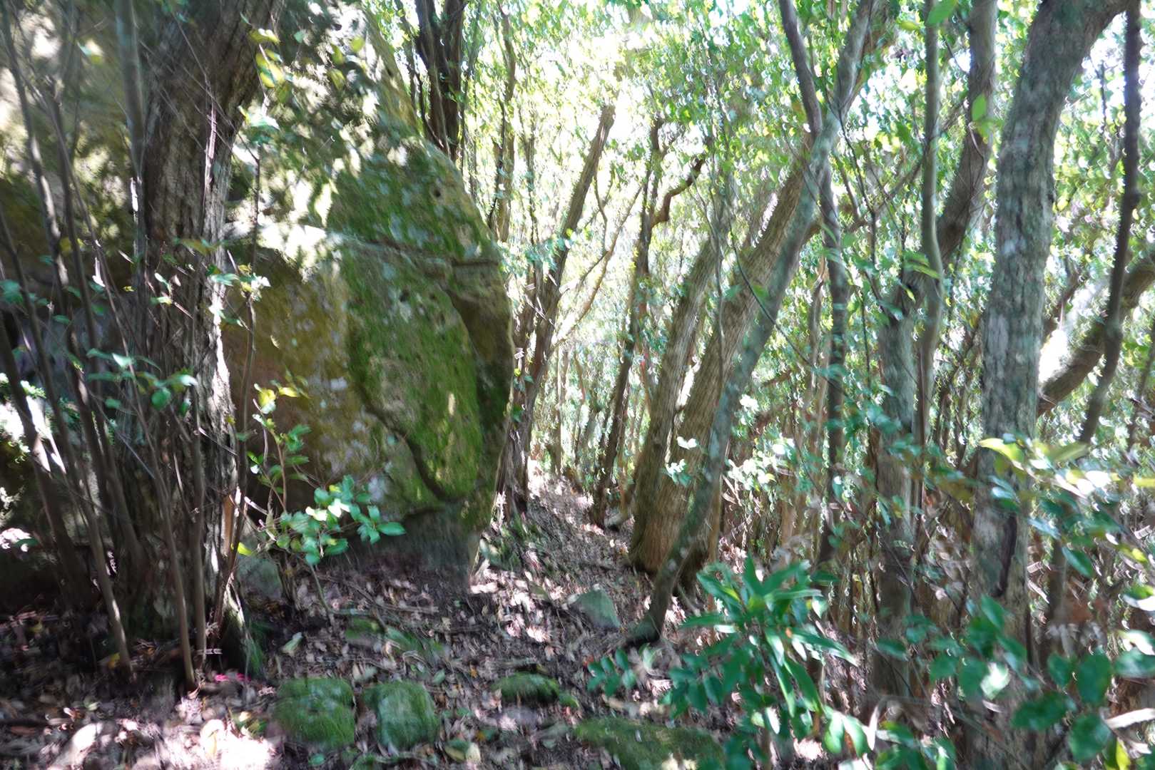 あちこち巨石が点在してました。