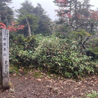西吾妻山 山頂に到着
登山道の途中に山頂標識があります
天気が良くても眺望のない山頂です