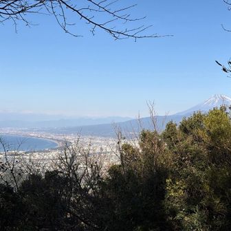 駿河湾と富士山