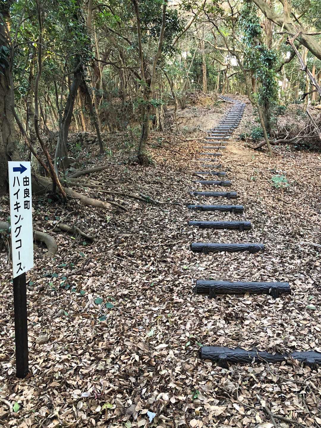 やっとハイキング道らしく