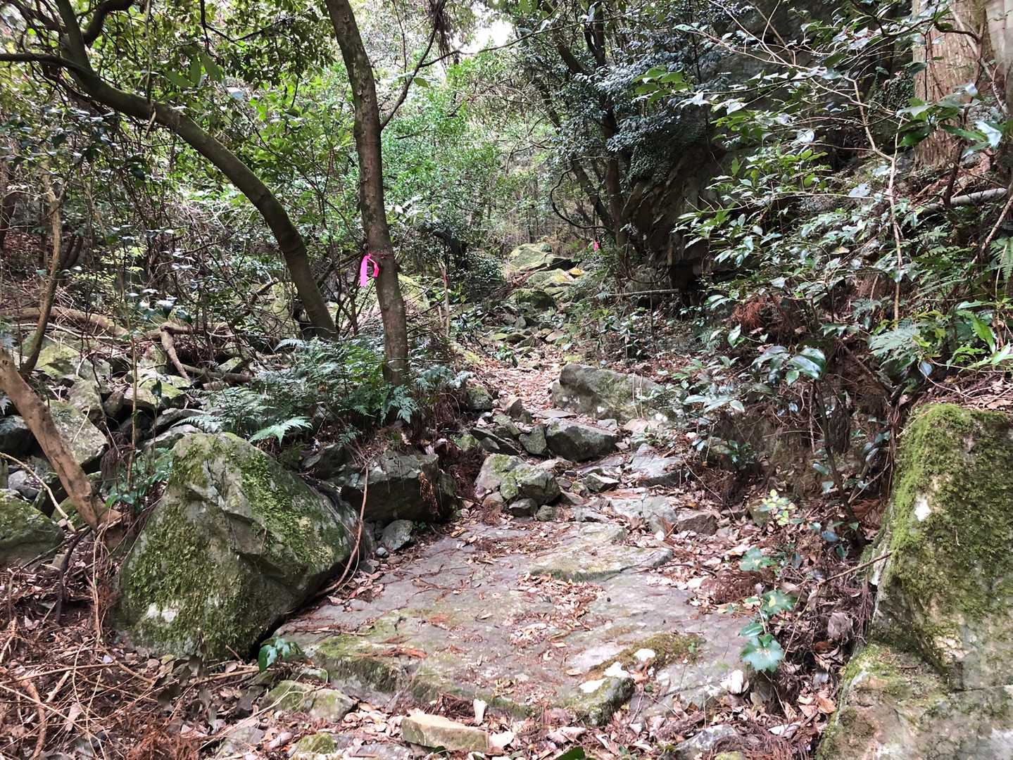 石🪨多し