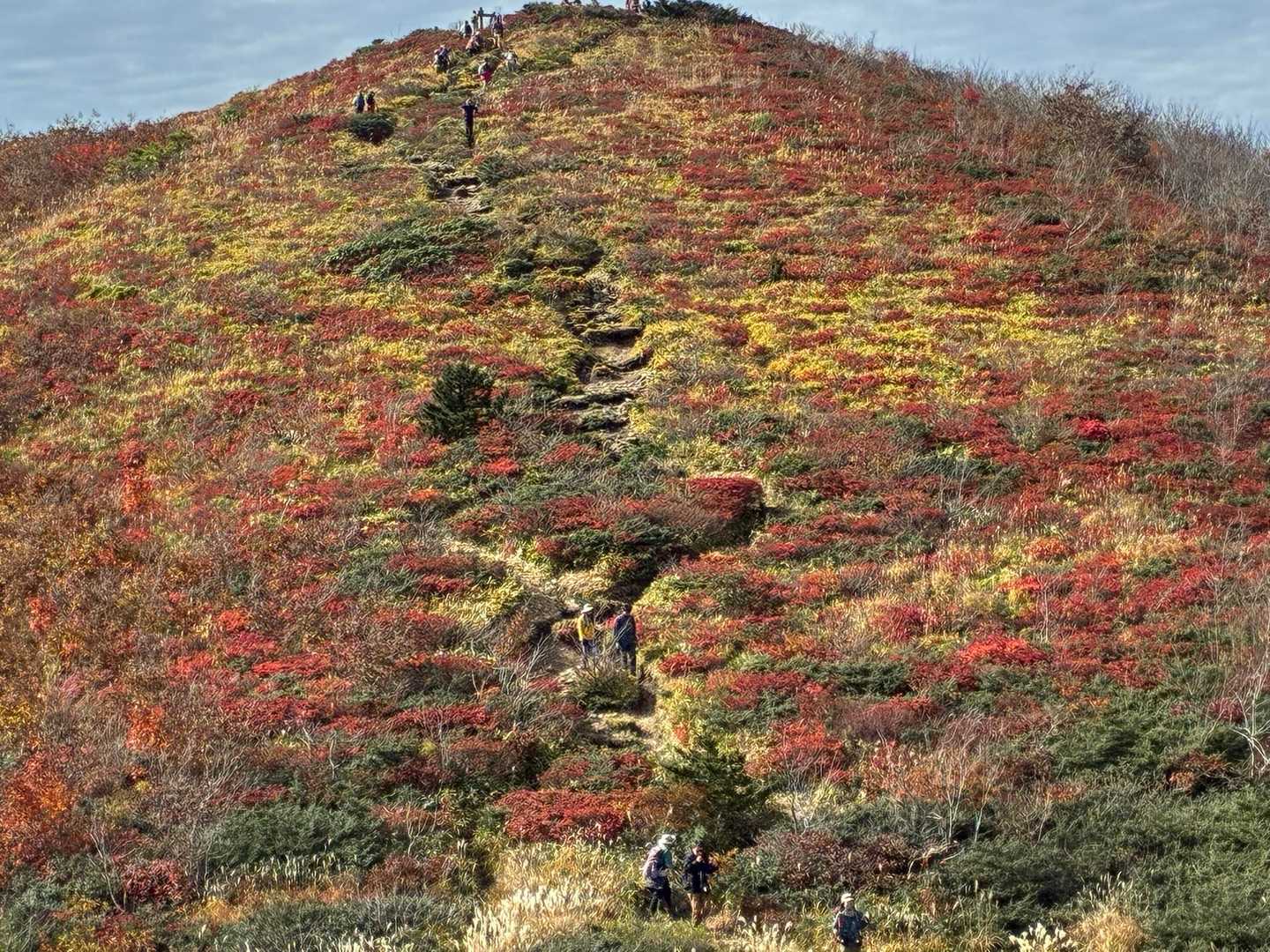 ひろしま県民の森登山口-展望園地-立烏帽子山-池ノ段-越原 周回コースの写真