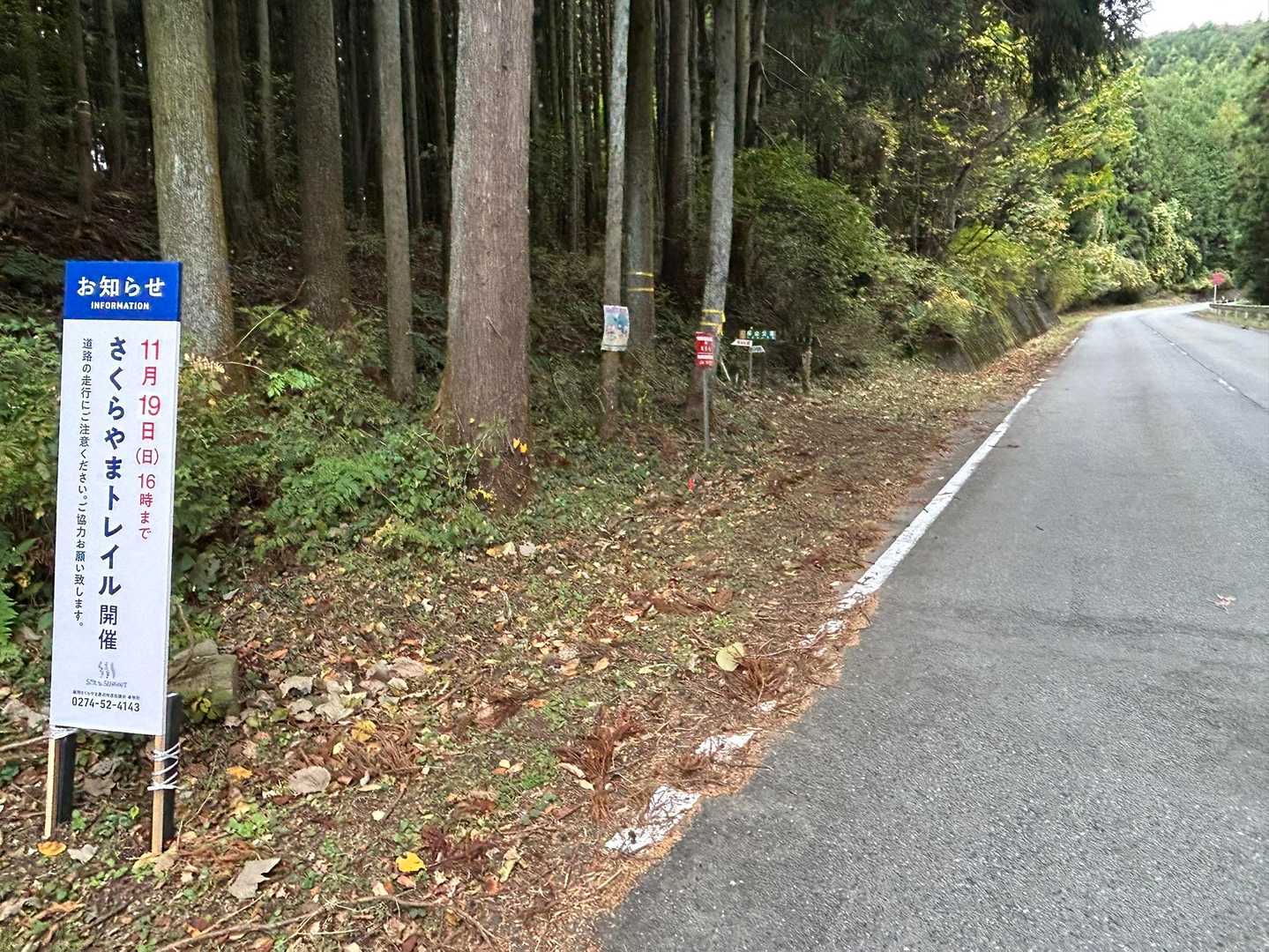そしてまた登山道に入ります