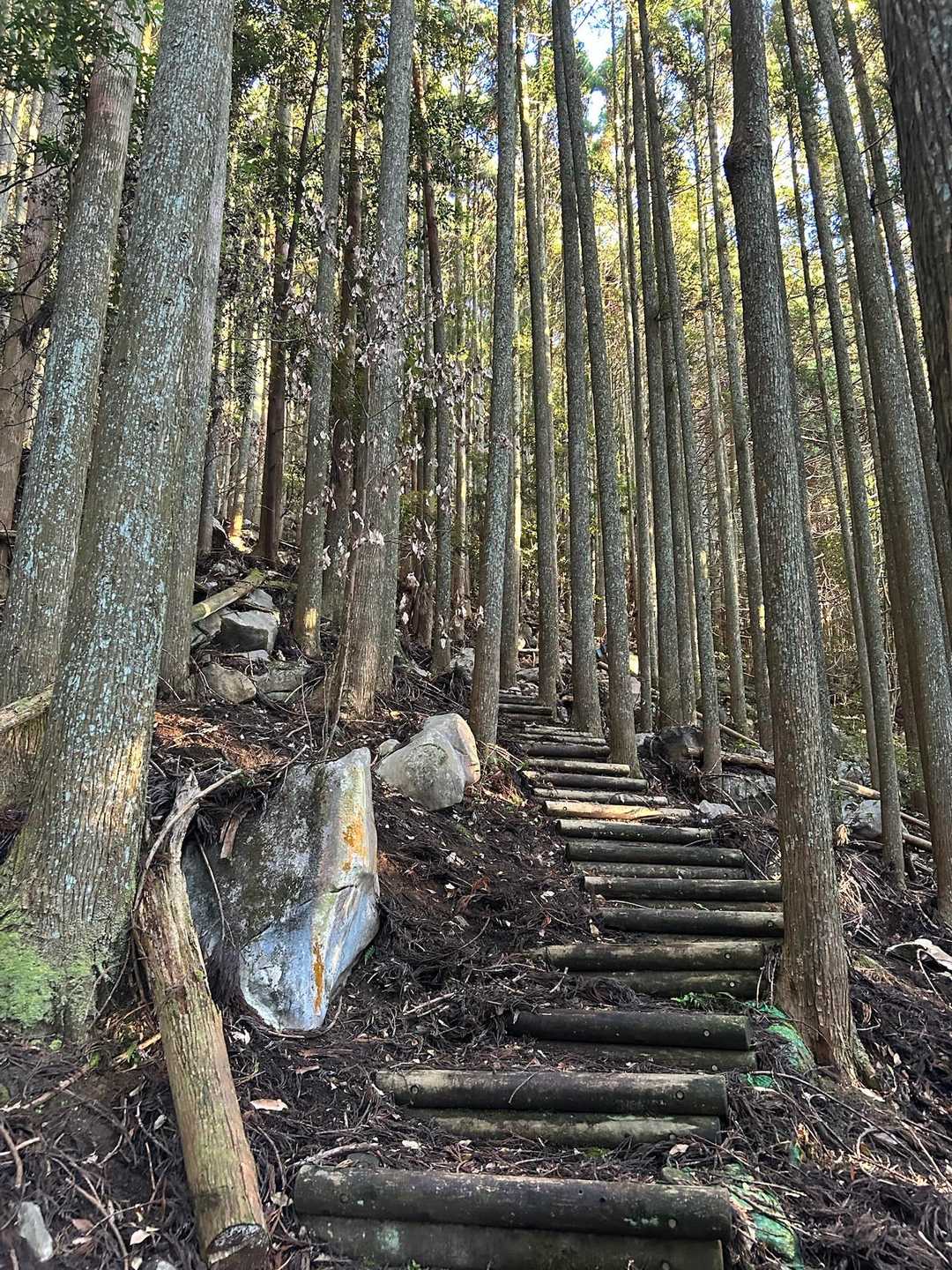 整備されてます😊