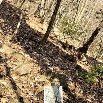 ♡が出現する時間が近づいてきました🎶

まだ時間が早いので歪な♡です！