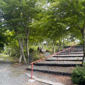 セコップする人が停める駐車場を過ぎるとこんな公園。