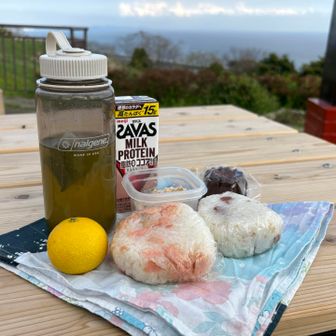 お弁当〜！たんぱく質とかおにぎり(潰れ)とか。