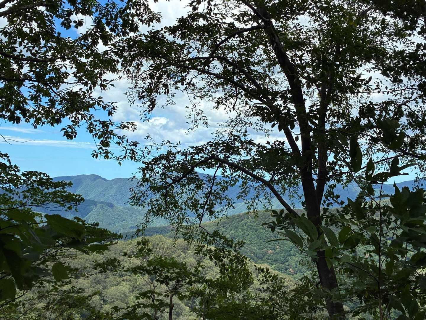 途中からの景色⛰️☀️