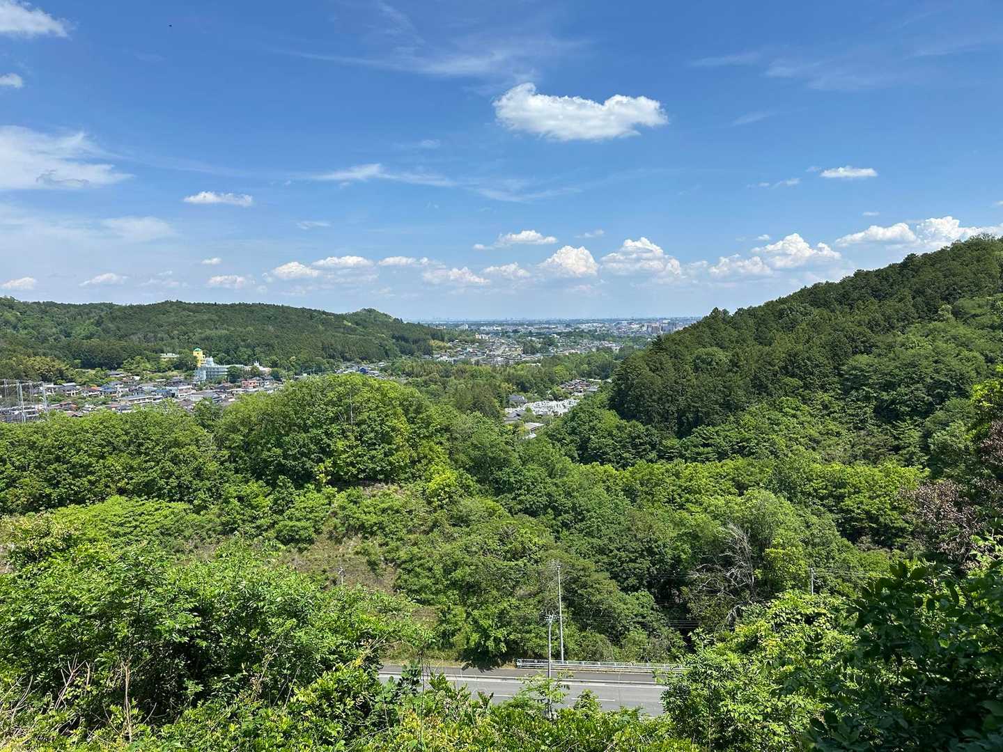 茜台自然広場登山口-柏木山-赤根峠 往復コースの写真