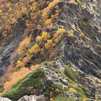 めちゃ綺麗🍁あ。ハシゴ🫠