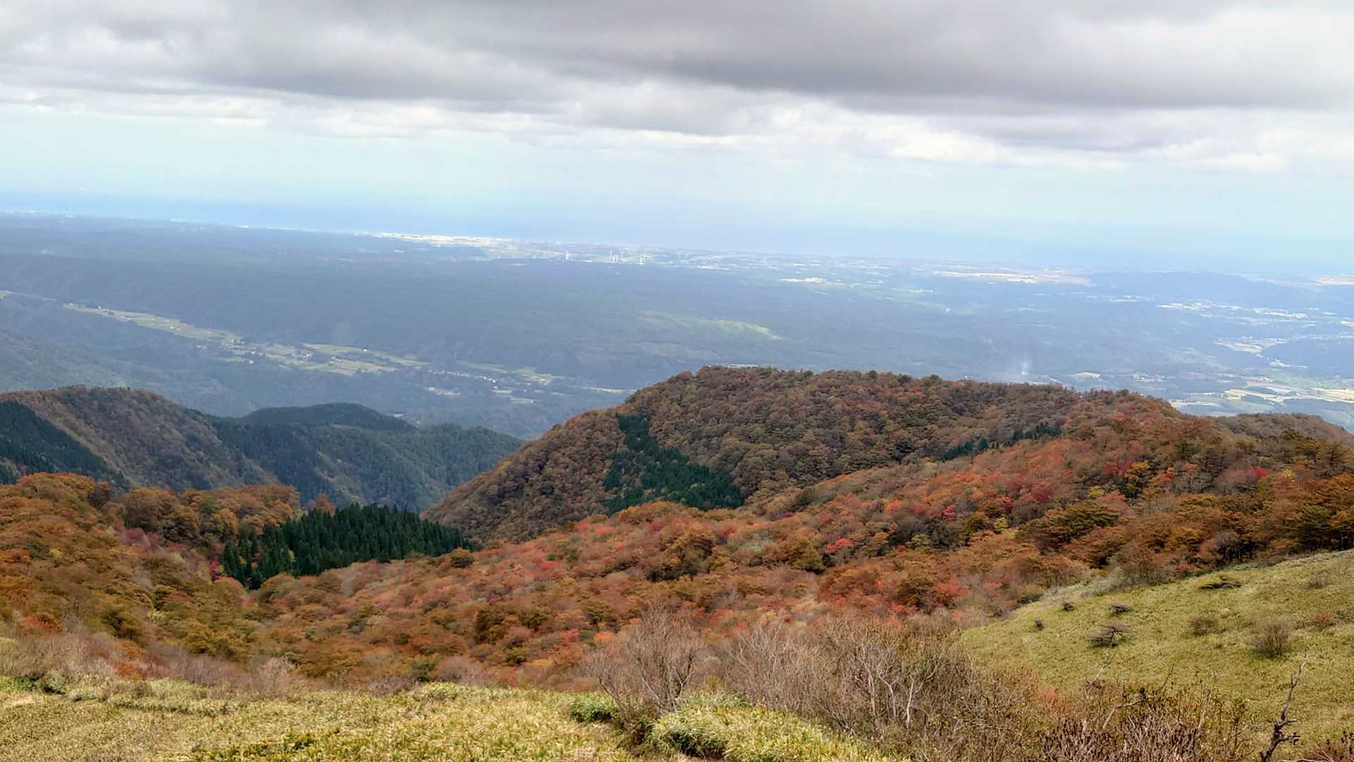 風強し！