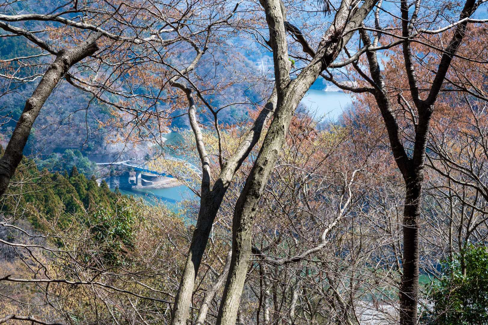 急登を一気に上がるのでなかなかのキツさ。木の間から丹沢湖が見えてきた