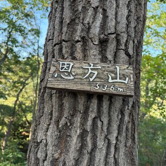 と思ったら反対にもあったわ。