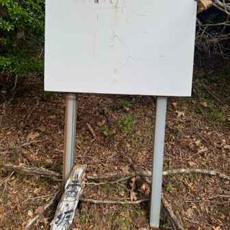 直登、ジグザグ、トラバースをして雷坂突破