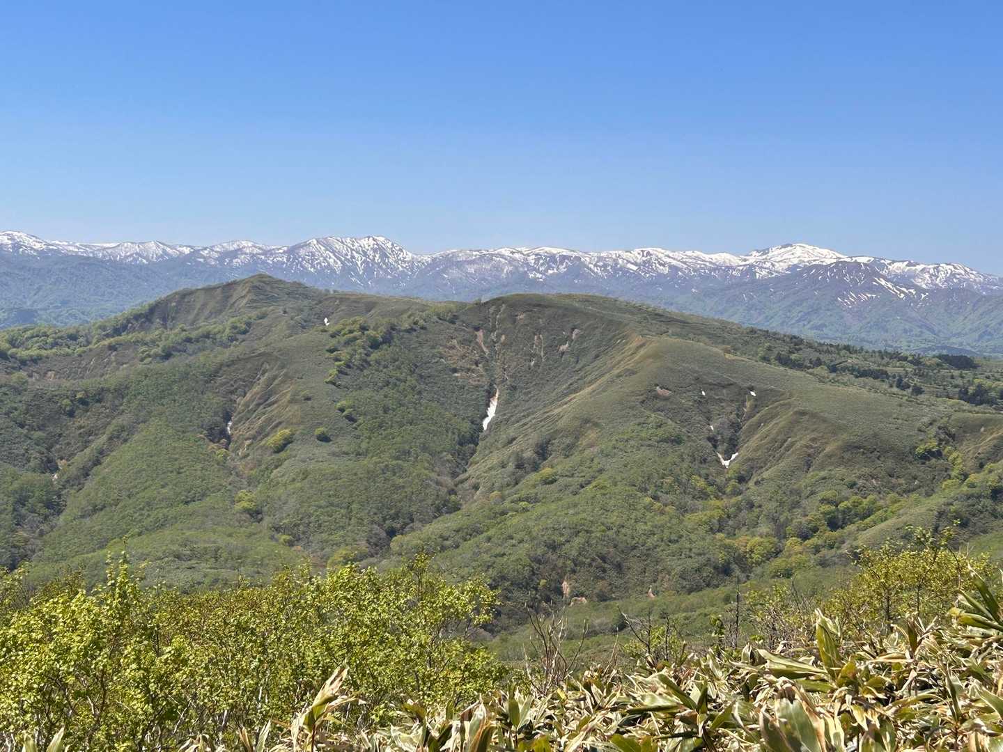 写万部山 往復コースの写真