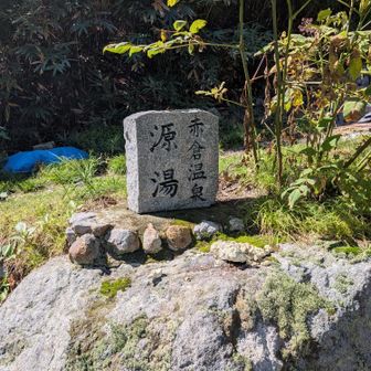 めっちゃ硫黄の匂いしてました♨️