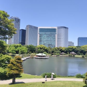 富士見山の頂上から。