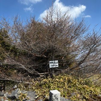 お気に入りの物見石山で貸切ランチ🍙
あとのハイカーさんに山頂おゆずりして
