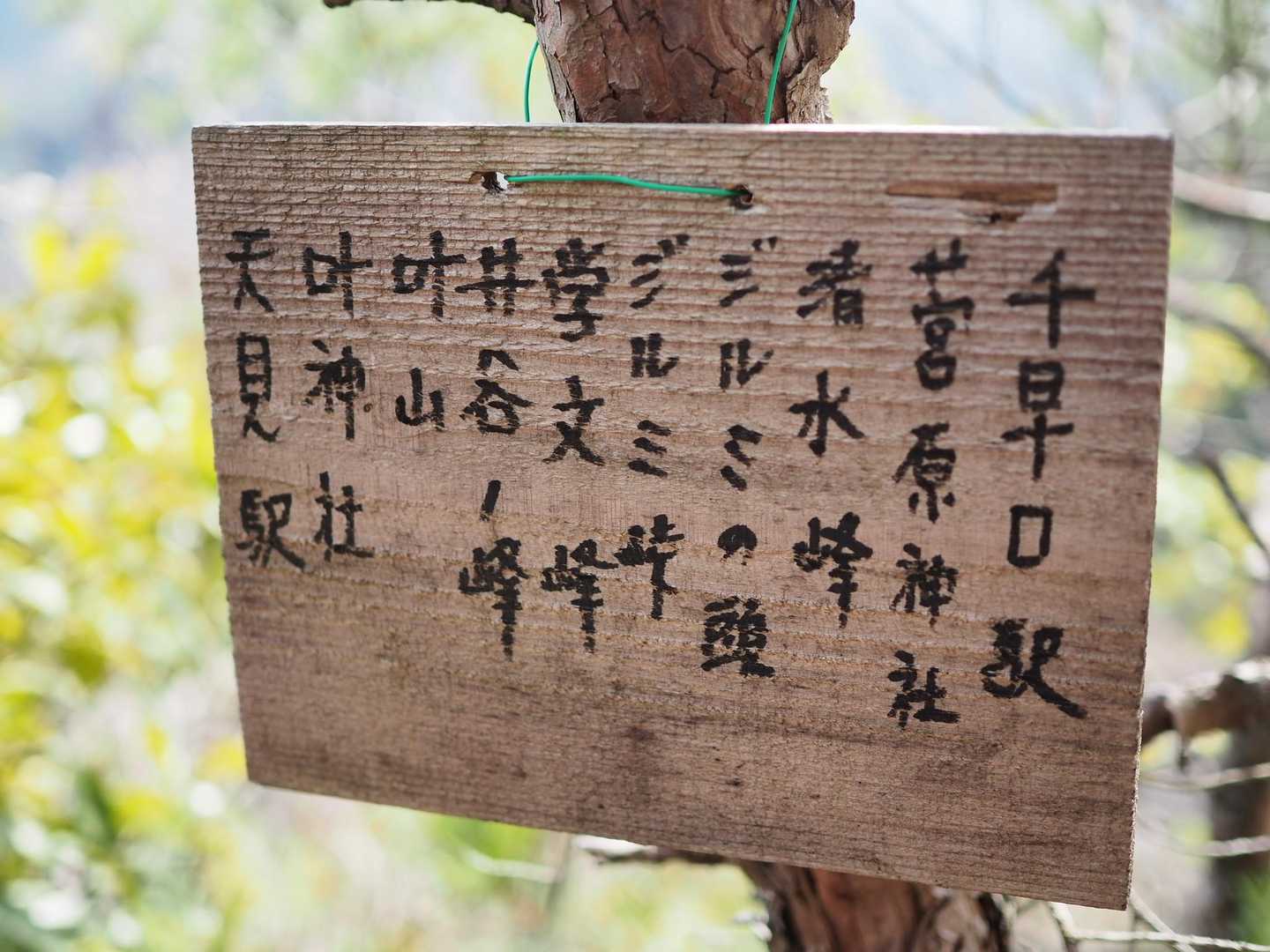 プレートよく見ると今日歩いてきたコース❗今日もありがとうございました