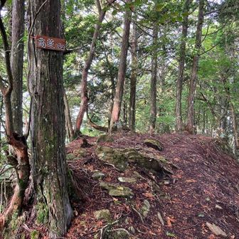 痩せ尾根の山頂。