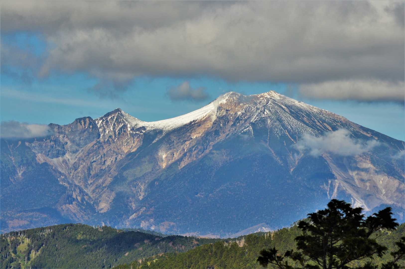 山頂が見えて来ました。🤩