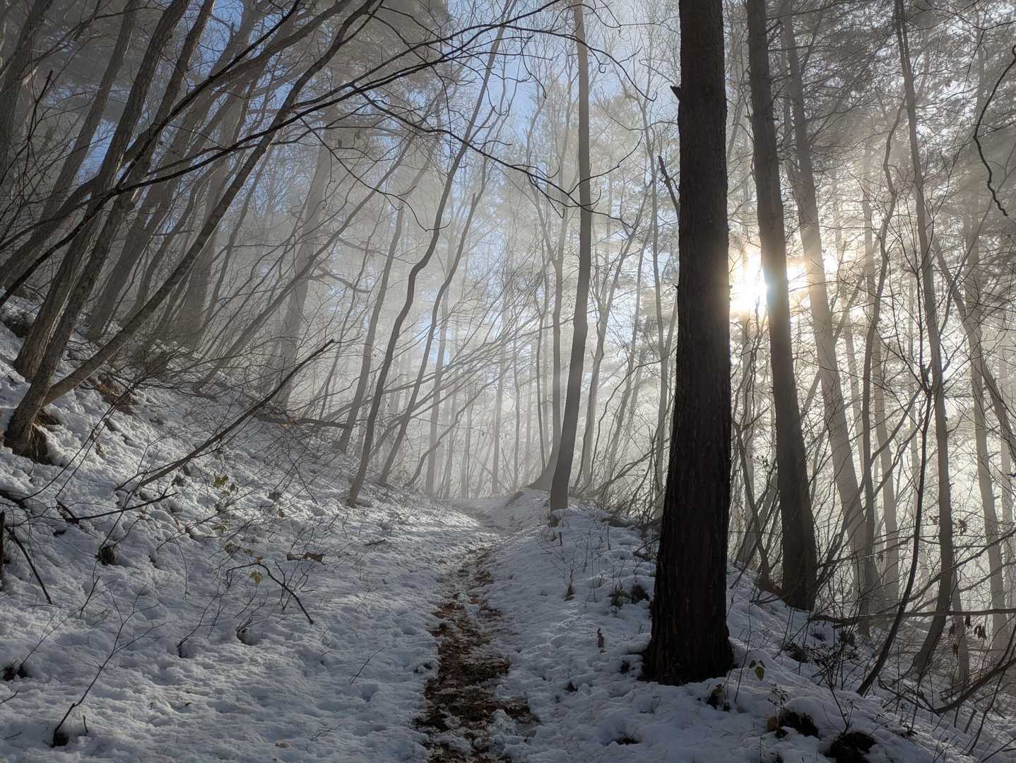 このあたりはまだ雪少ない°・*:.。.☆