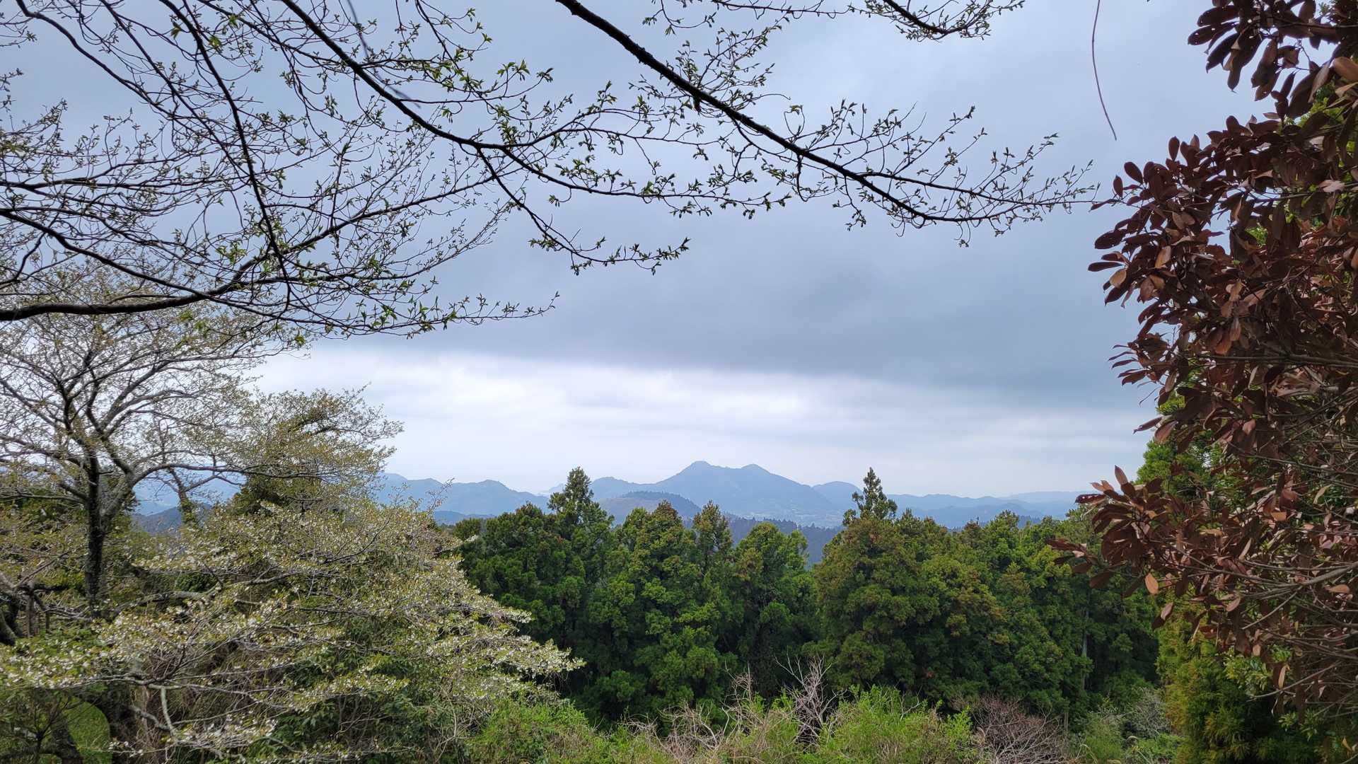 宝篋塔山-鷹取山-御殿山 周回コースの写真